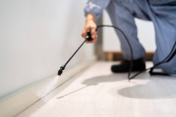 Licensed Ant Control service in Teague, TX - Show Me Pest Control