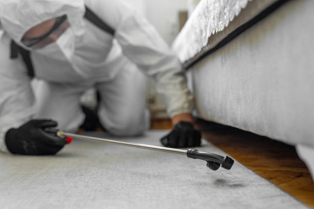 Professional Ant Control technician working in Teague, TX