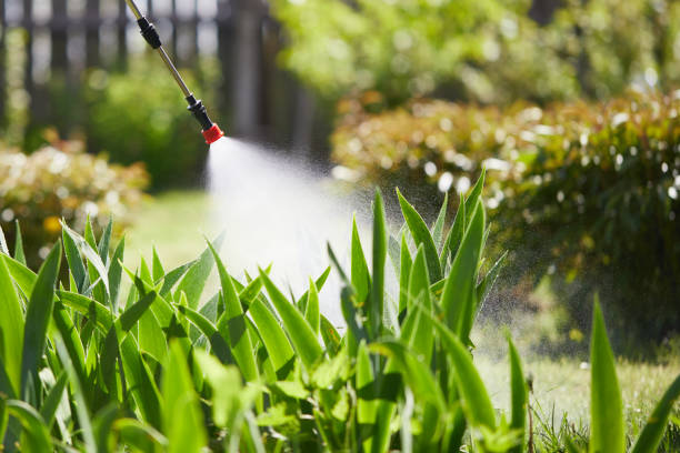 24/7 Emergency Ant Control experts in Teague, TX
