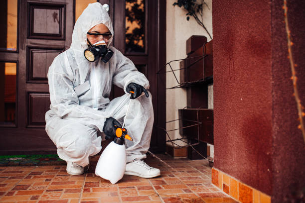 Reliable Ant Control contractor in Teague, TX by Show Me Pest Control